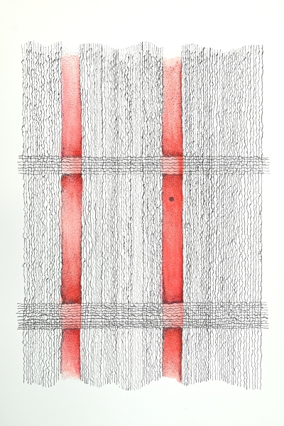 Osprey Scholar Zebra pen test