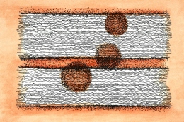 Postcard with Three ⭕️