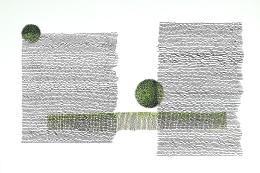 Green circles 🟢 🟢 and Bar