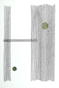 Green Circles and Lines