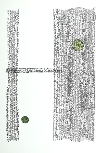 Green Circles and Lines