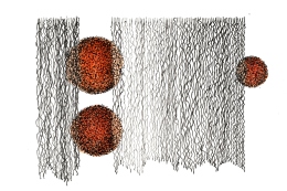 daughtry_eliot_DSC_1997