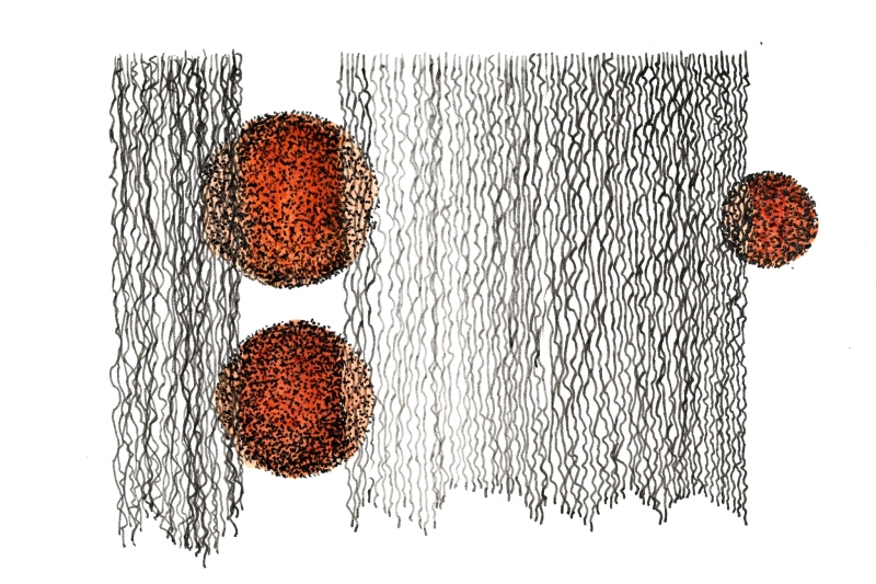 daughtry_eliot_DSC_1997